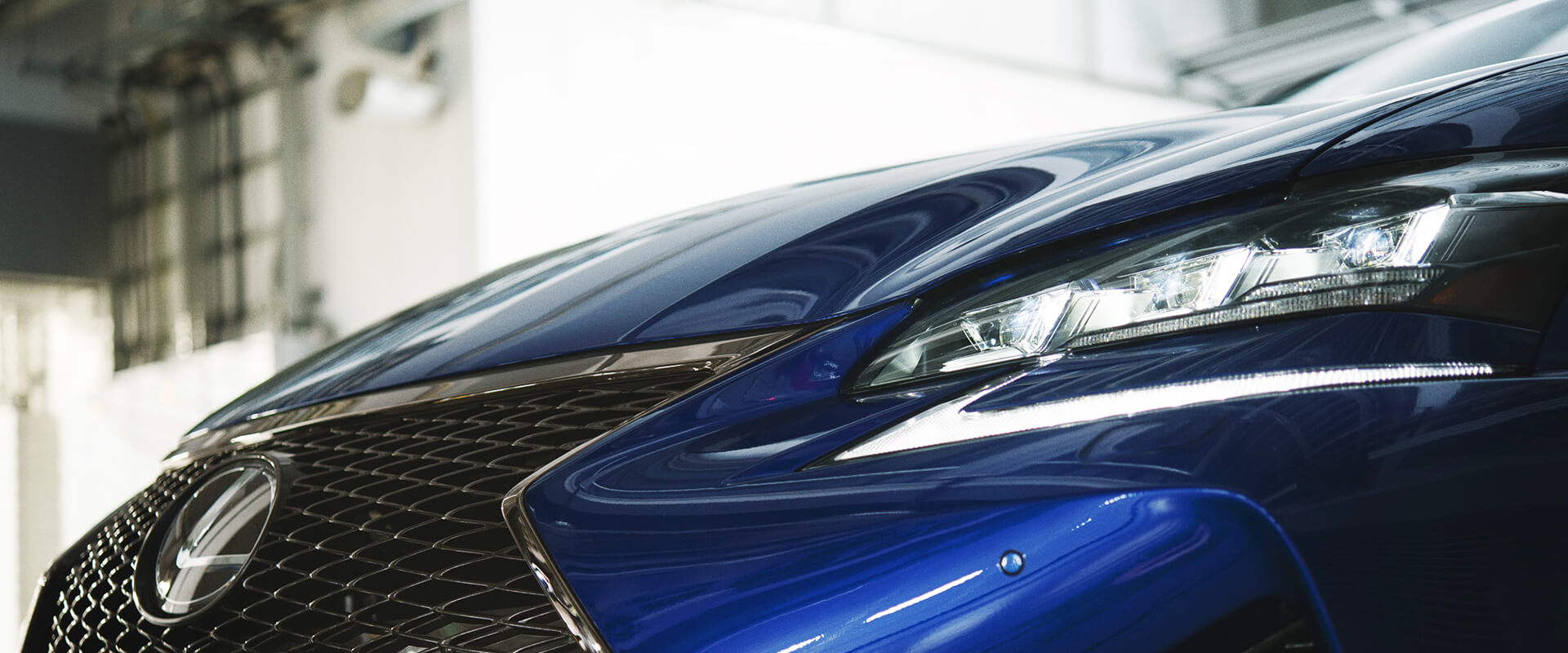 F Models Gallery Images