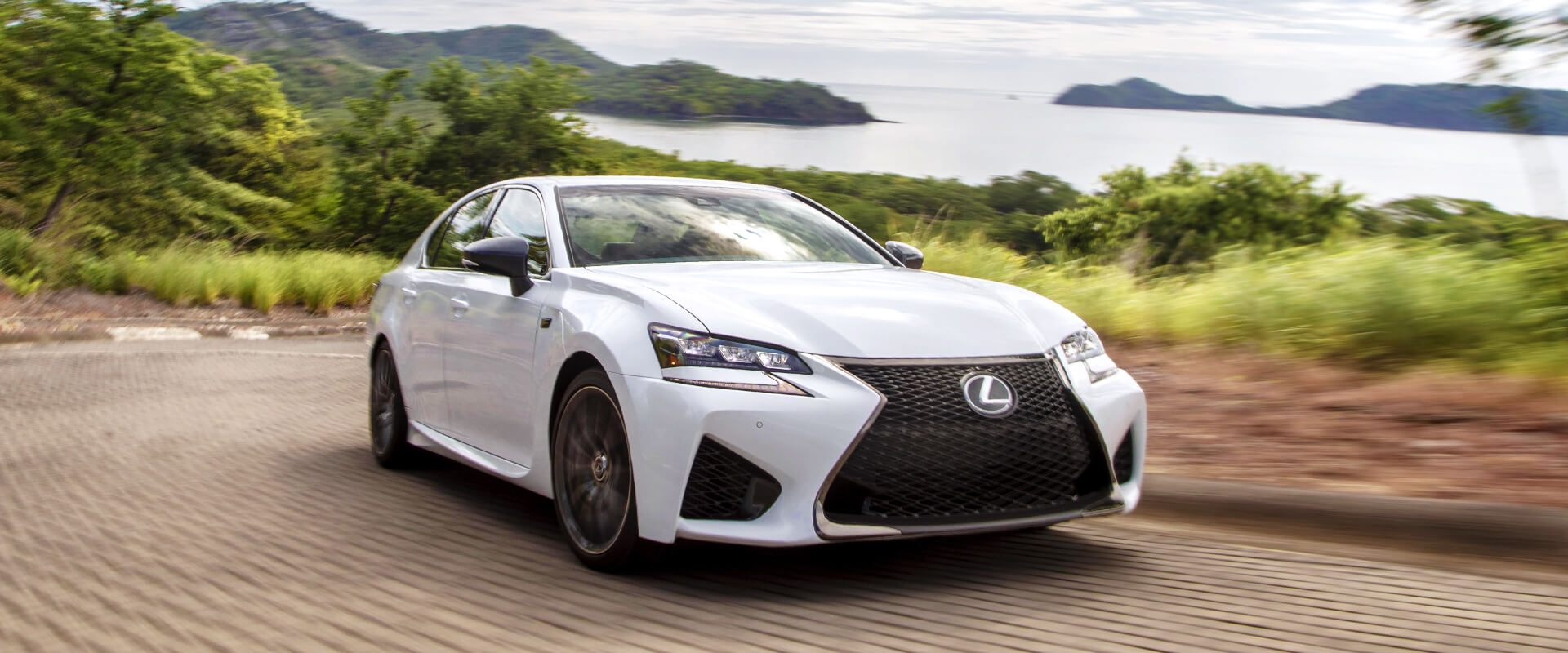 F Models Gallery Images