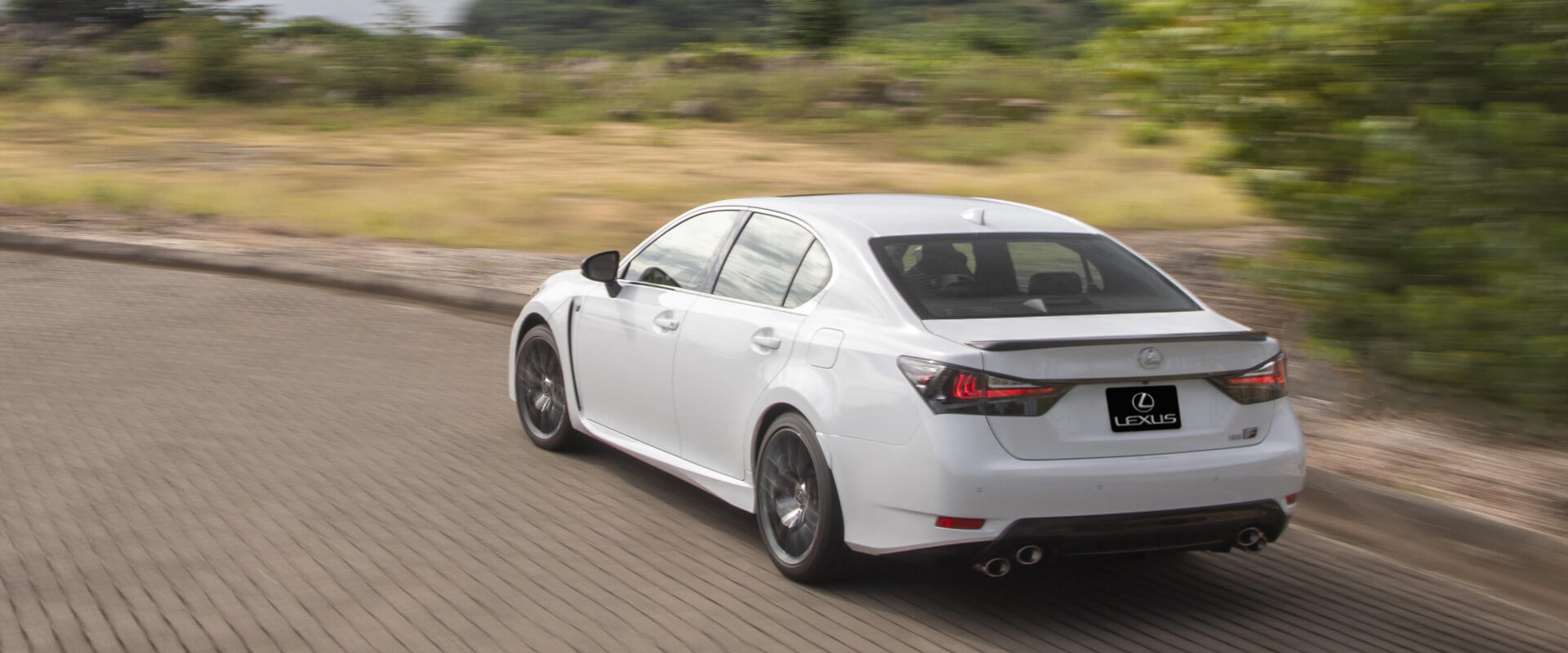 F Models Gallery Images