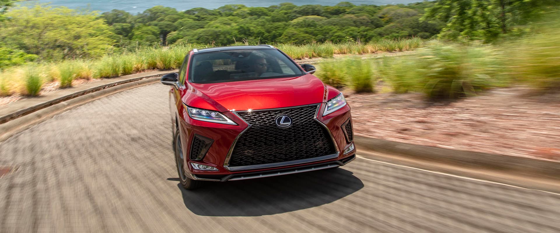 F Sports Models Gallery Images