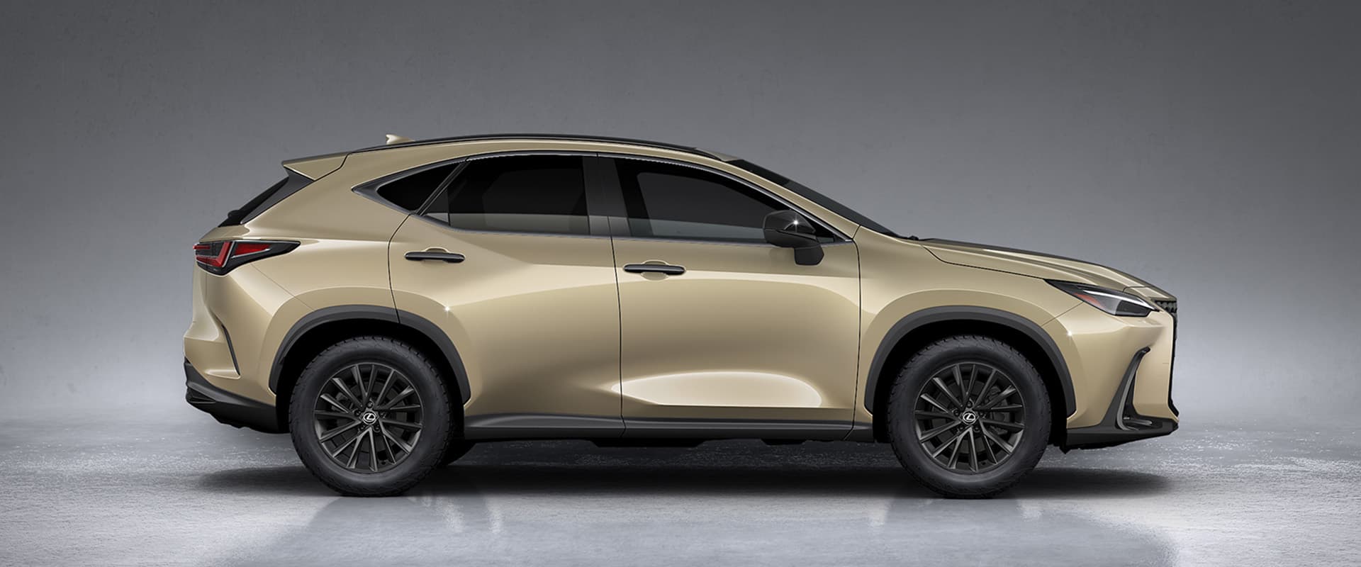 Lexus NX 350h Overtrail Exterior Gallery