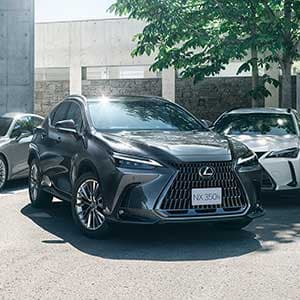 http://Lexus%20NX%20Exterior%20Gallery%20Thumbnail