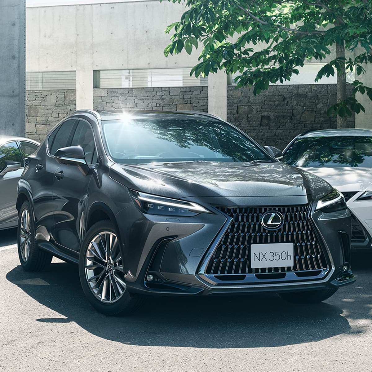 Lexus NX 350h Exquisite Overview