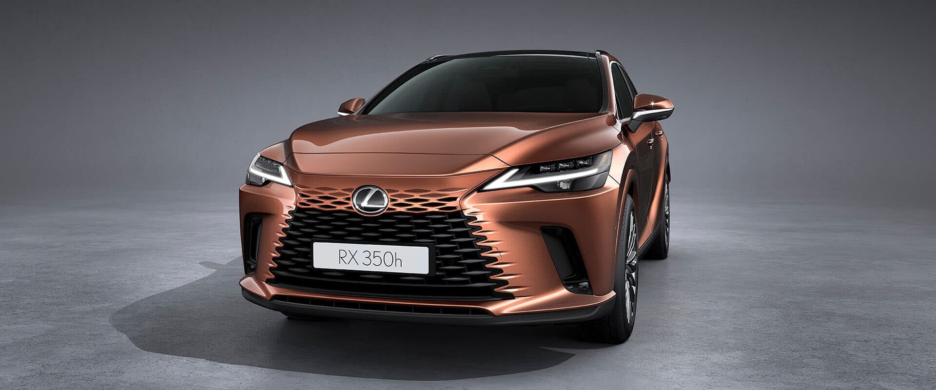 Lexus RX 350h Luxury Exterior Gallery Images